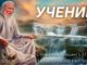 #356 Ученик